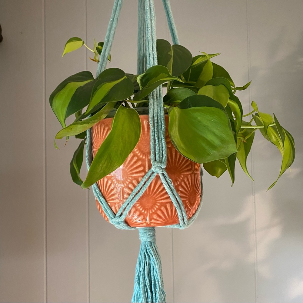 Blue Macrame Plant Hanger With Tassel, Hanging Plant Holder, Plant Lover…